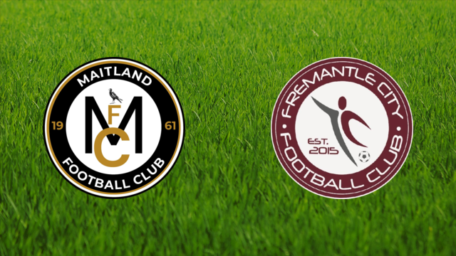 Maitland FC vs. Fremantle City Maitland FC vs. Fremantle City