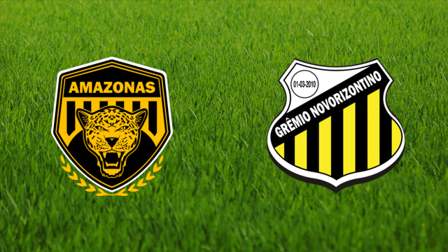 Amazonas FC vs. Grêmio Novorizontino (2010)