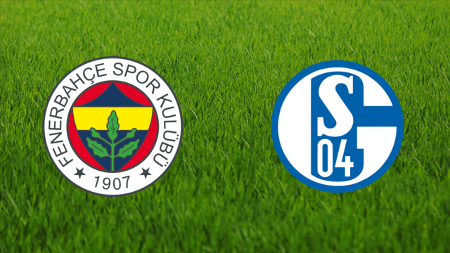 Fenerbahçe SK vs. Schalke 04
