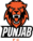 Punjab FC